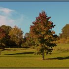 Herbstliche Farben