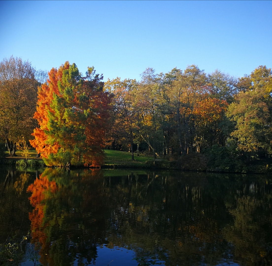 Herbstliche Farben 