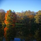 Herbstliche Farben 