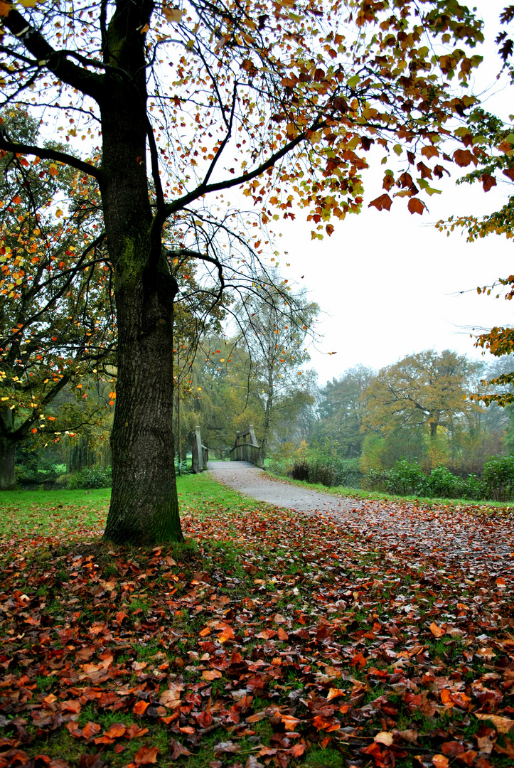 ...Herbstliche Farben