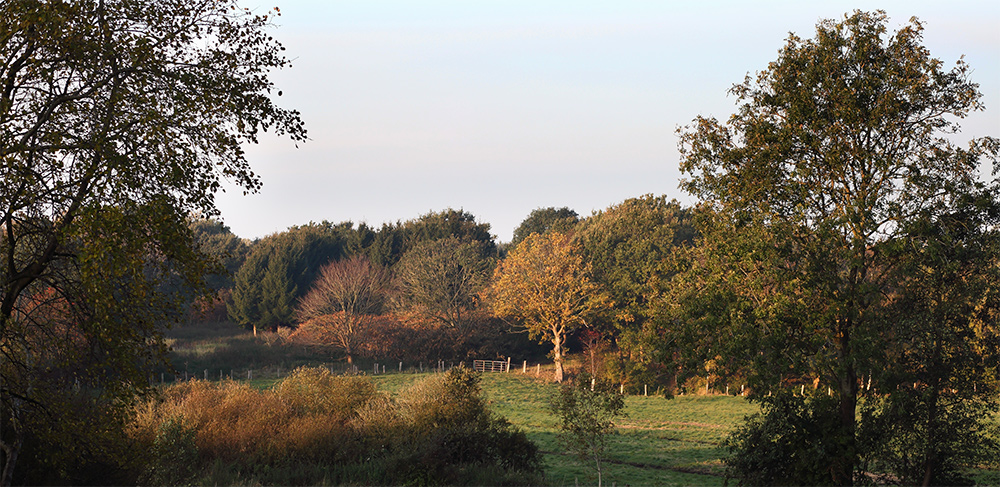 Herbstliche Farben