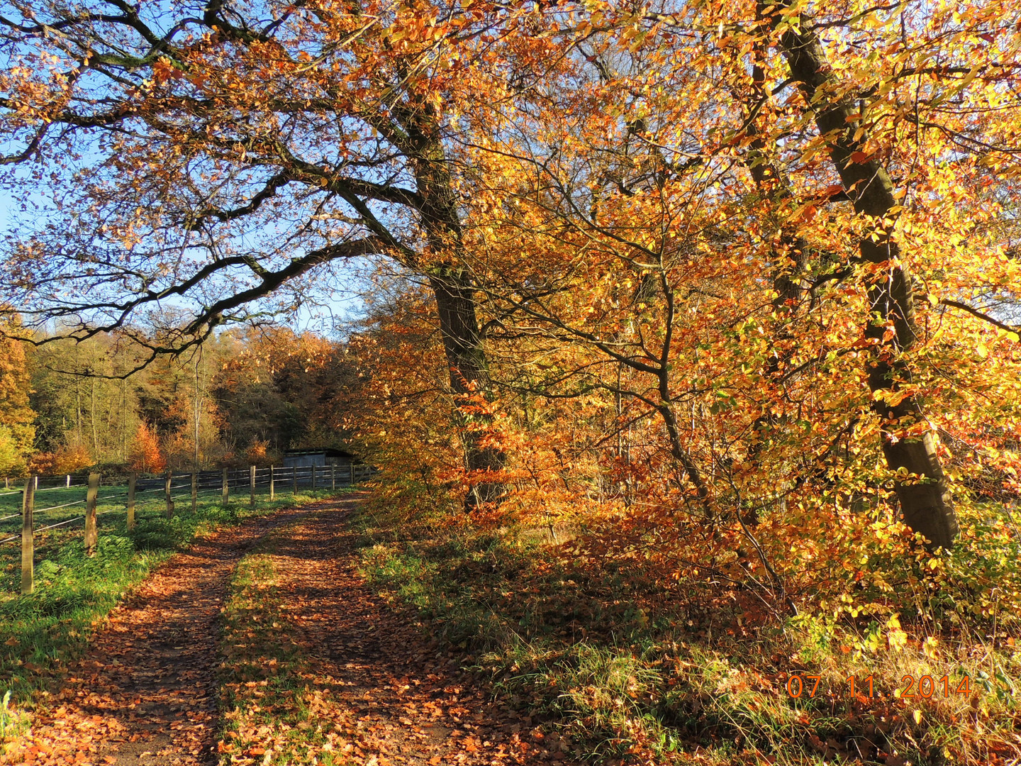 Herbstliche Farben