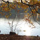 Herbstliche Farben am See