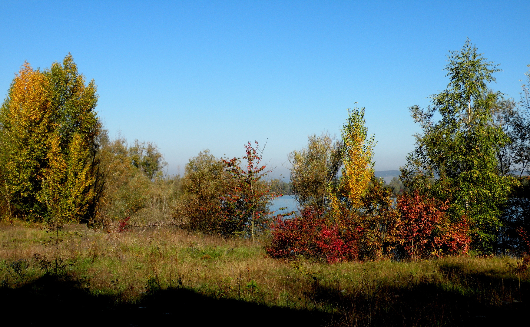 Herbstliche Farben am See.