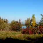 Herbstliche Farben am See.