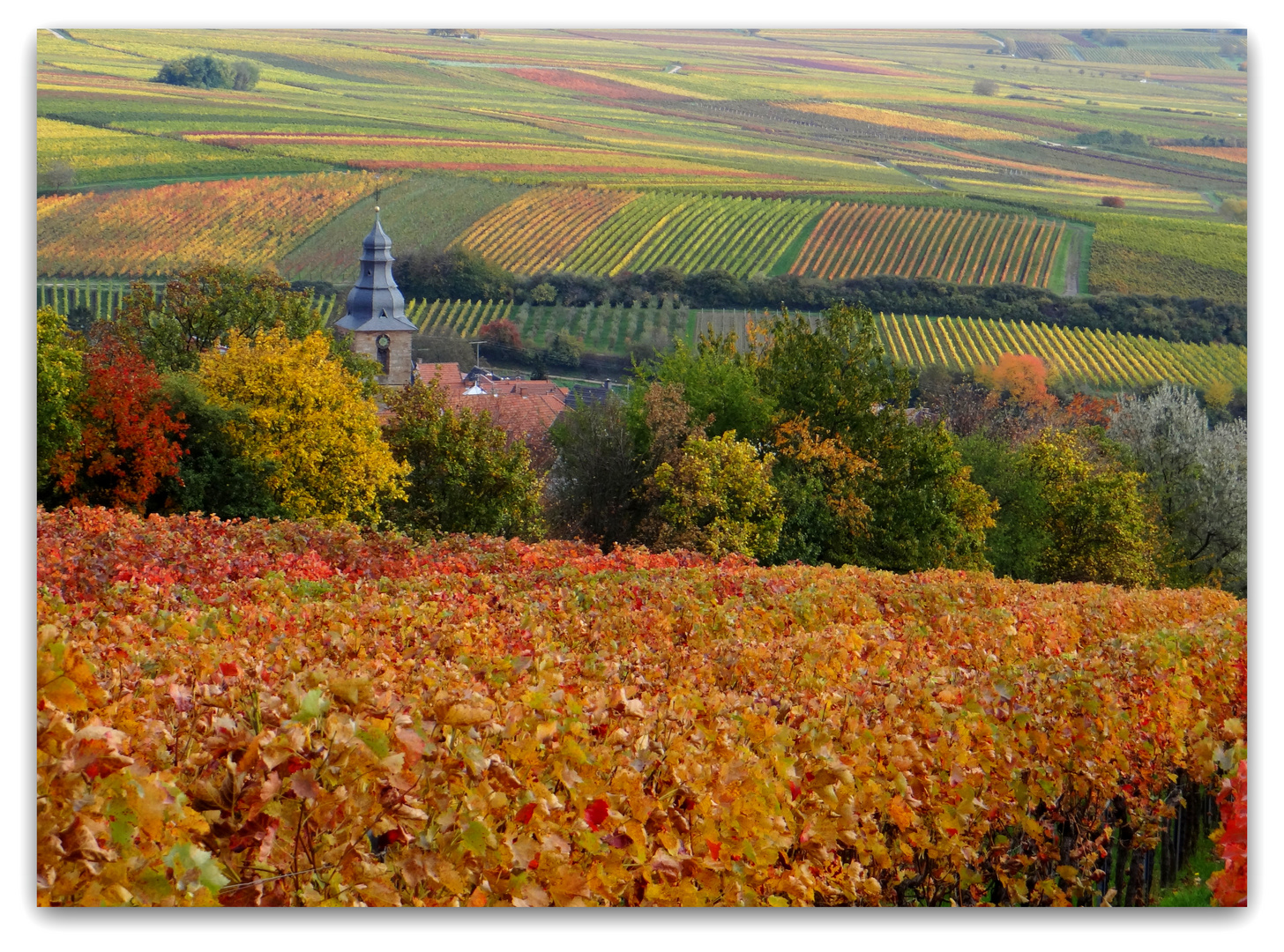 Herbstliche Farben an der Südlichen Weinstraße