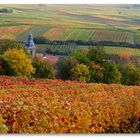 Herbstliche Farben an der Südlichen Weinstraße