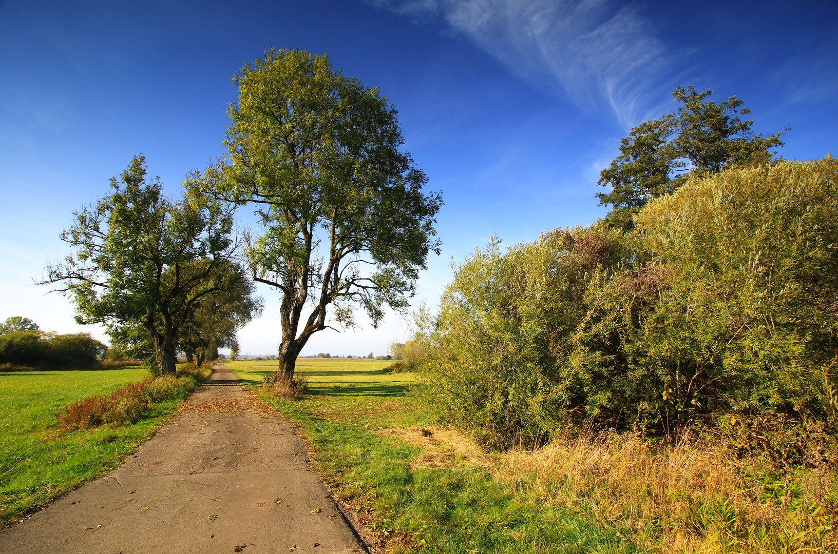 Herbstliche Farben