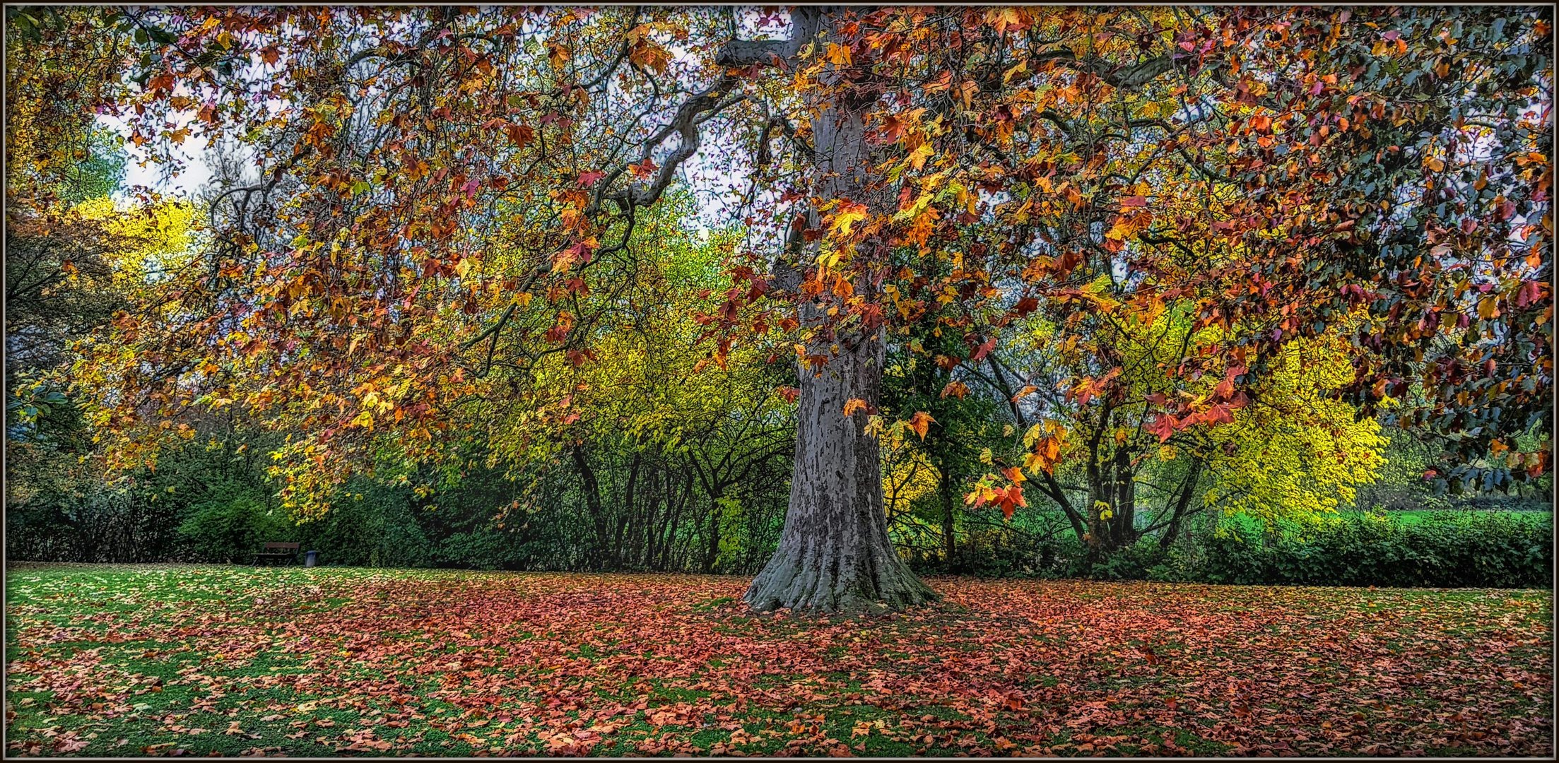 Herbstliche Farben