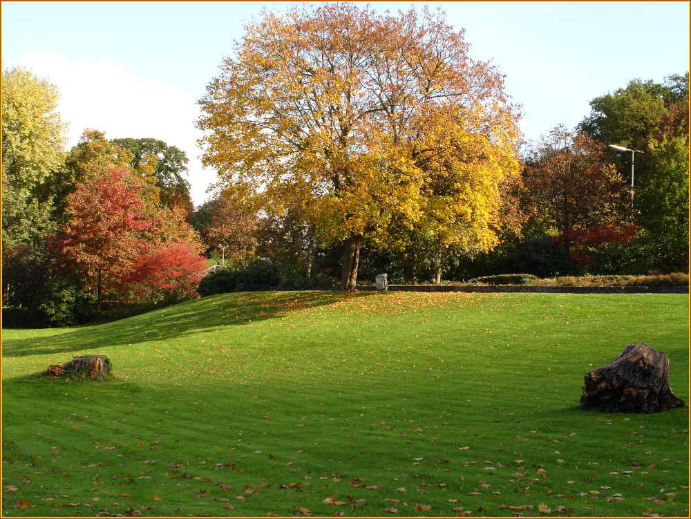 herbstliche Farben