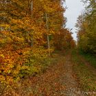 herbstliche Farben