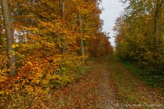 herbstliche Farben