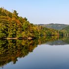 herbstliche Farben durch Dürreschäden am Obersee in der Eifel