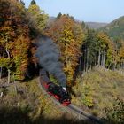 Herbstliche Farben im Drängetal