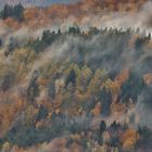 Herbstliche Farben im Nordschwarzwald/ 3