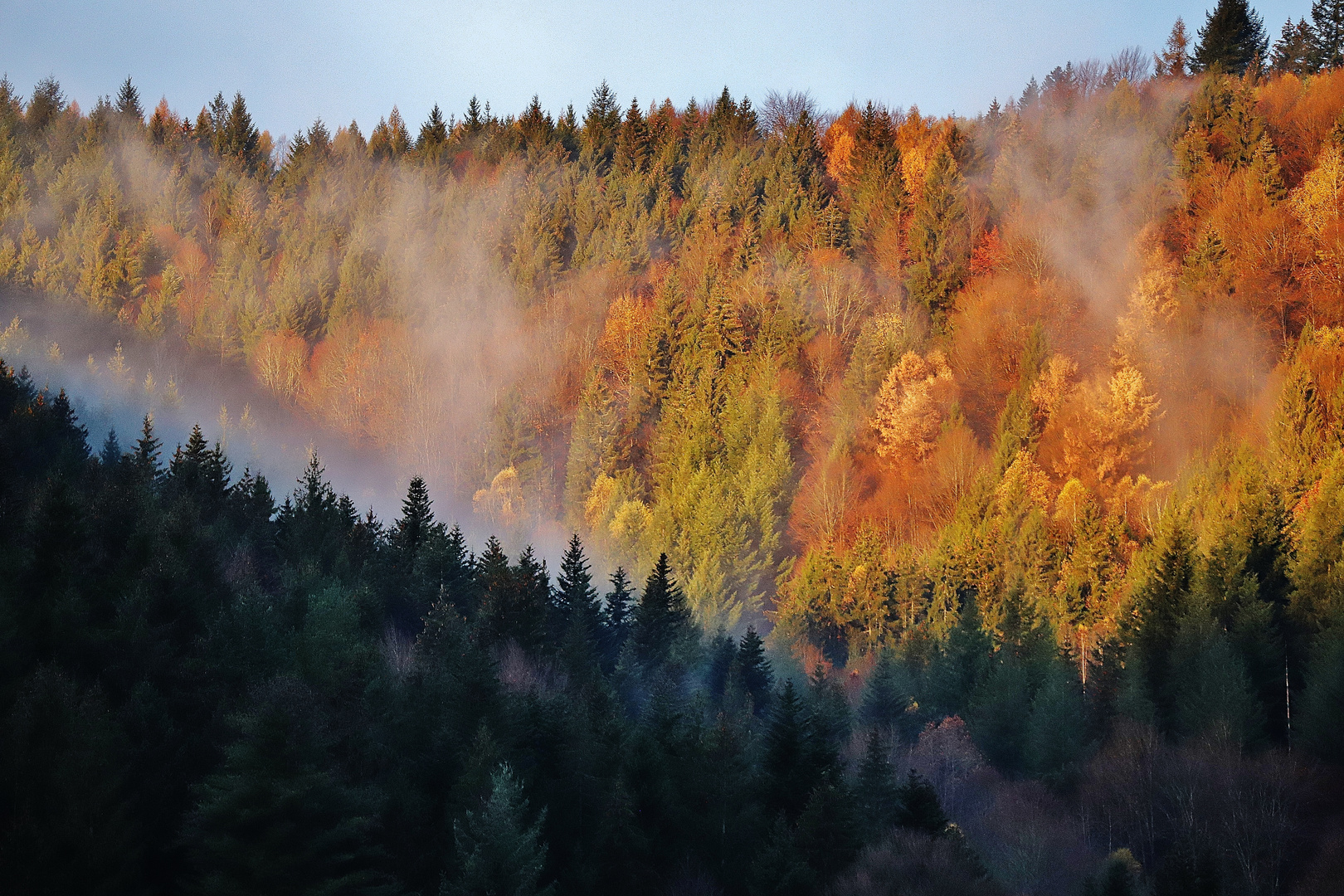 Herbstliche Farben im Nordschwarzwald