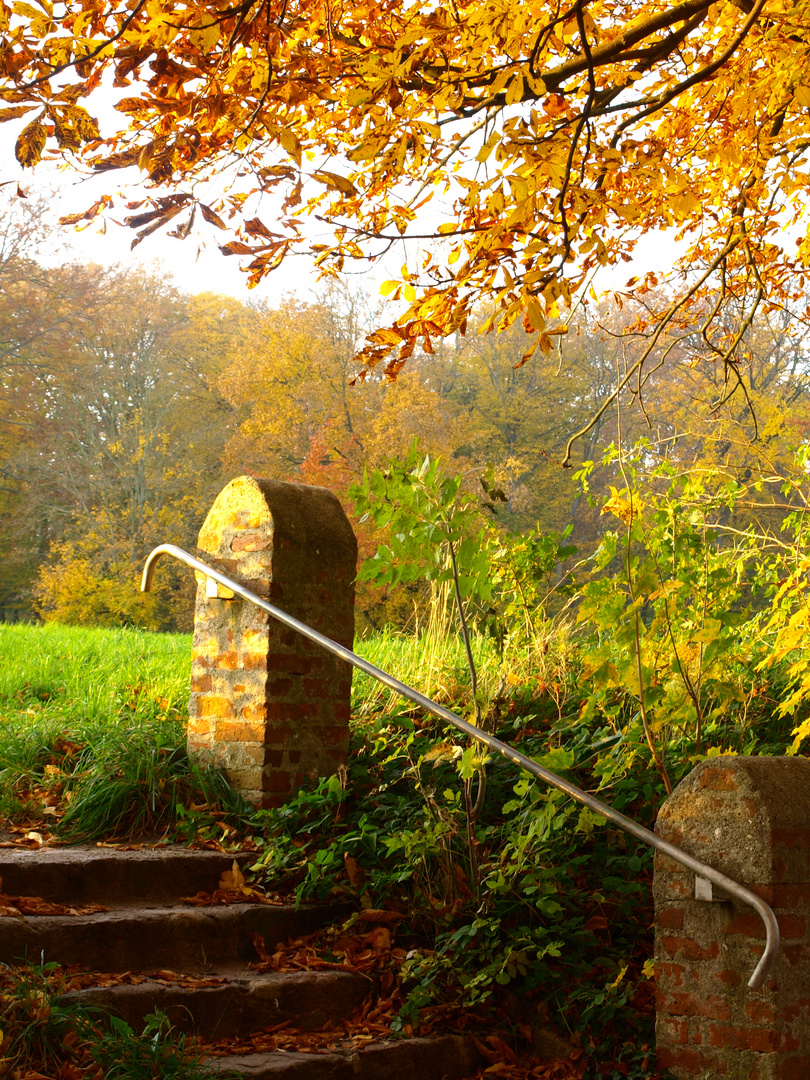 herbstliche Farben im Park