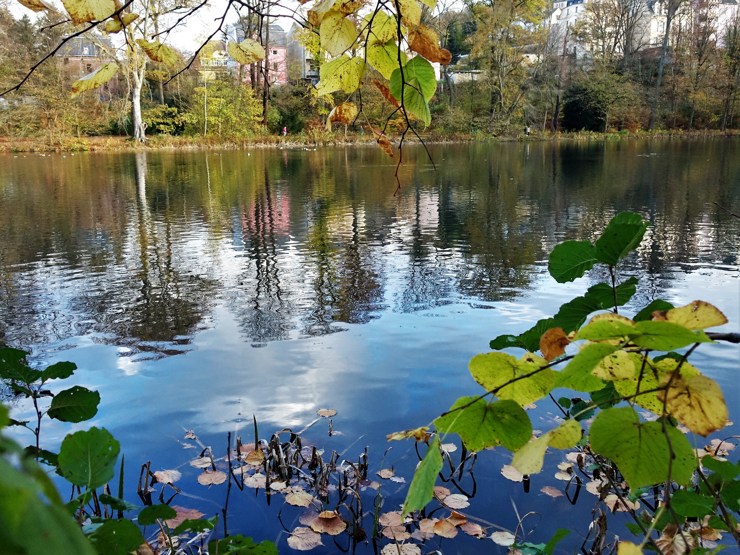 Herbstliche Farben im Park von Greiz