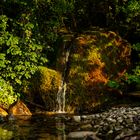 Herbstliche Farben im Sommer