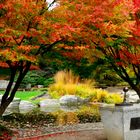 Herbstliche Farben in Planten un Blomen