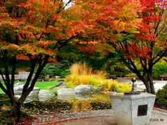 Herbstliche Farben in Planten un Blomen