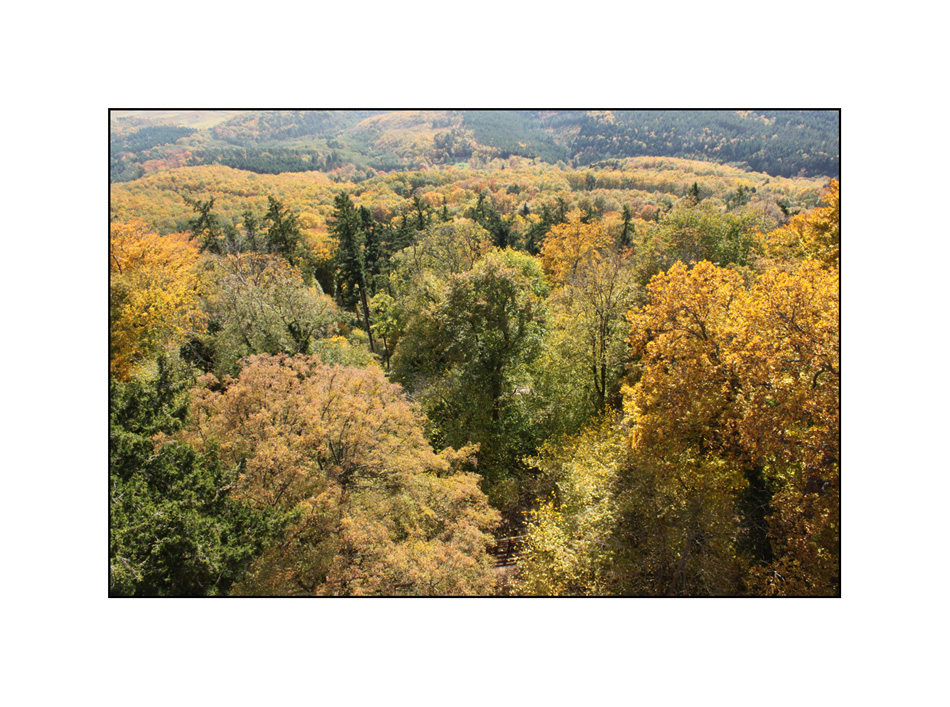 Herbstliche Farbenfreude