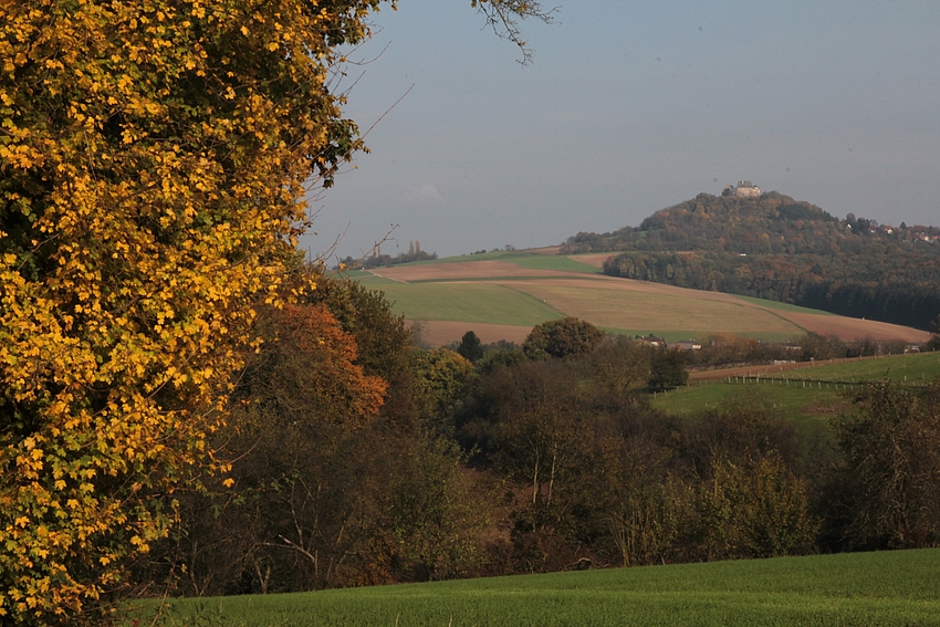 Herbstliche Farbenpracht