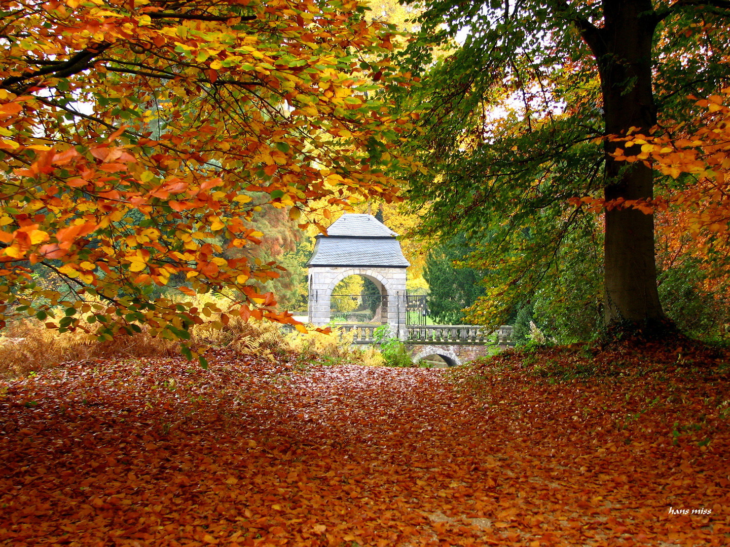 Herbstliche Farbenpracht