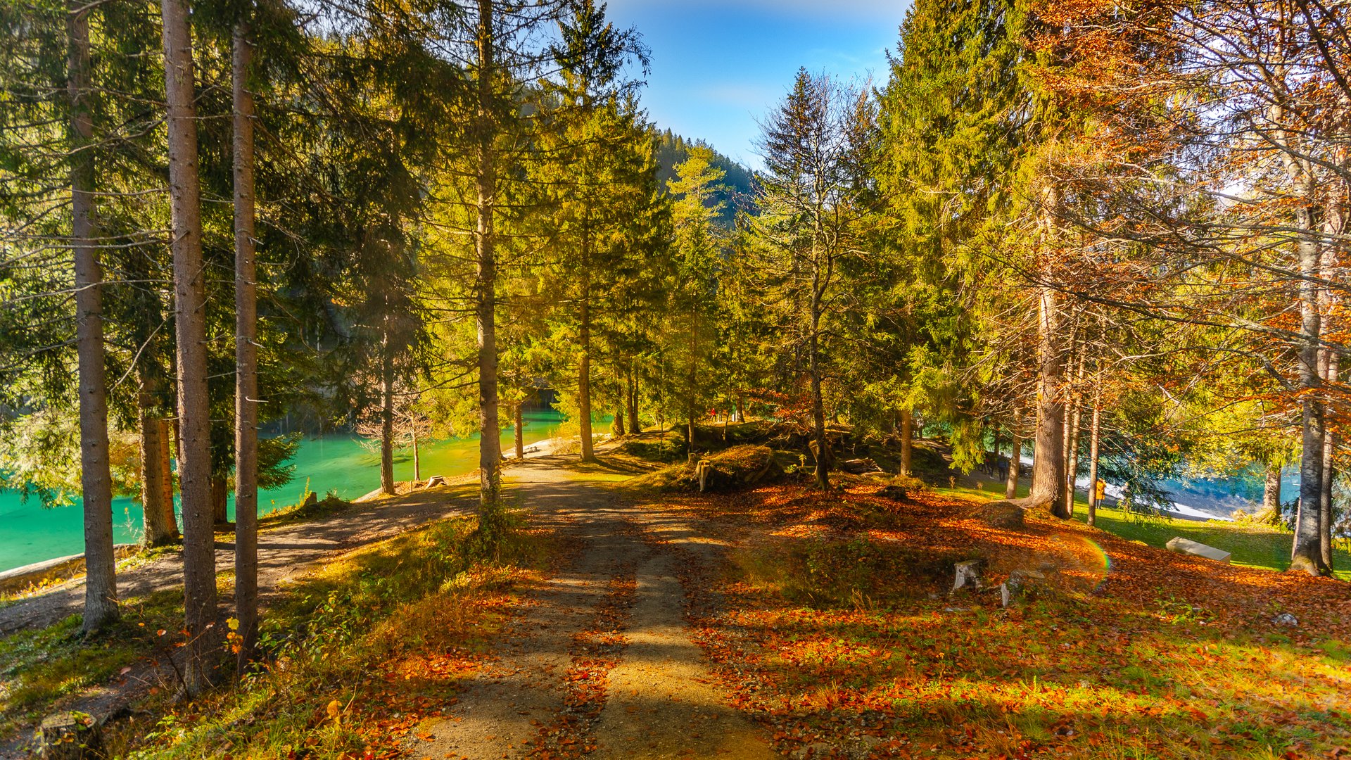 herbstliche Farbenpracht