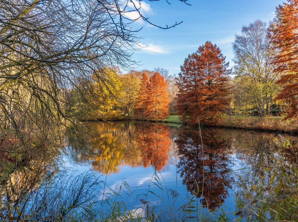 Herbstliche Farbenpracht Foto & Bild  jahreszeiten, herbst, fotos Bilder auf fotocommunity