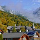 herbstliche Farbenpracht