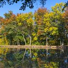 Herbstliche Farbenpracht am Ohrdrufer Rasenteich