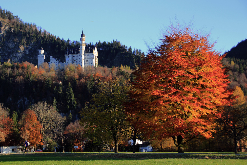 Herbstliche Farbenpracht!