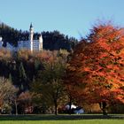 Herbstliche Farbenpracht!