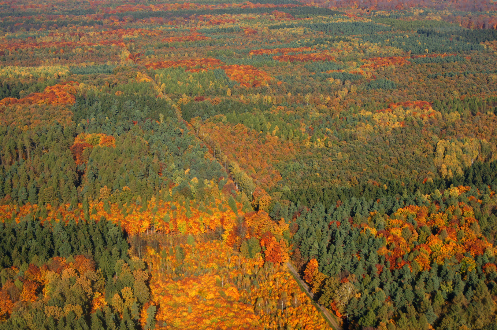 herbstliche Farbenpracht