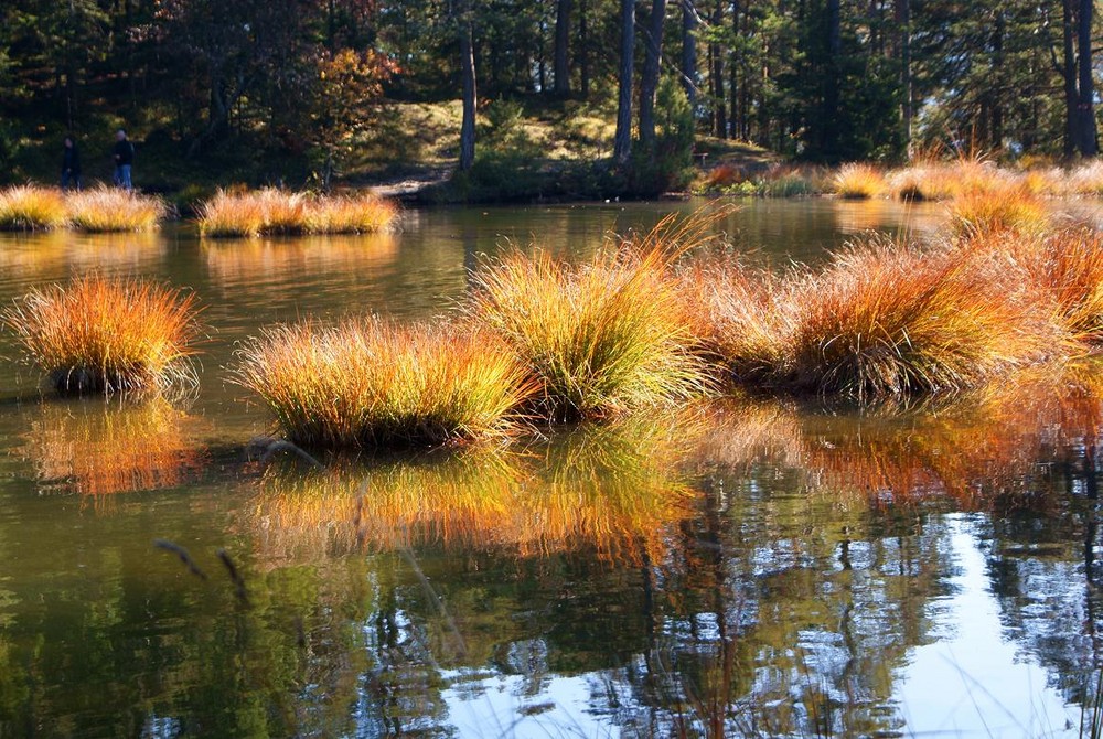 Herbstliche Farbenpracht