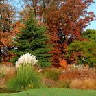 Herbstliche Farbenpracht