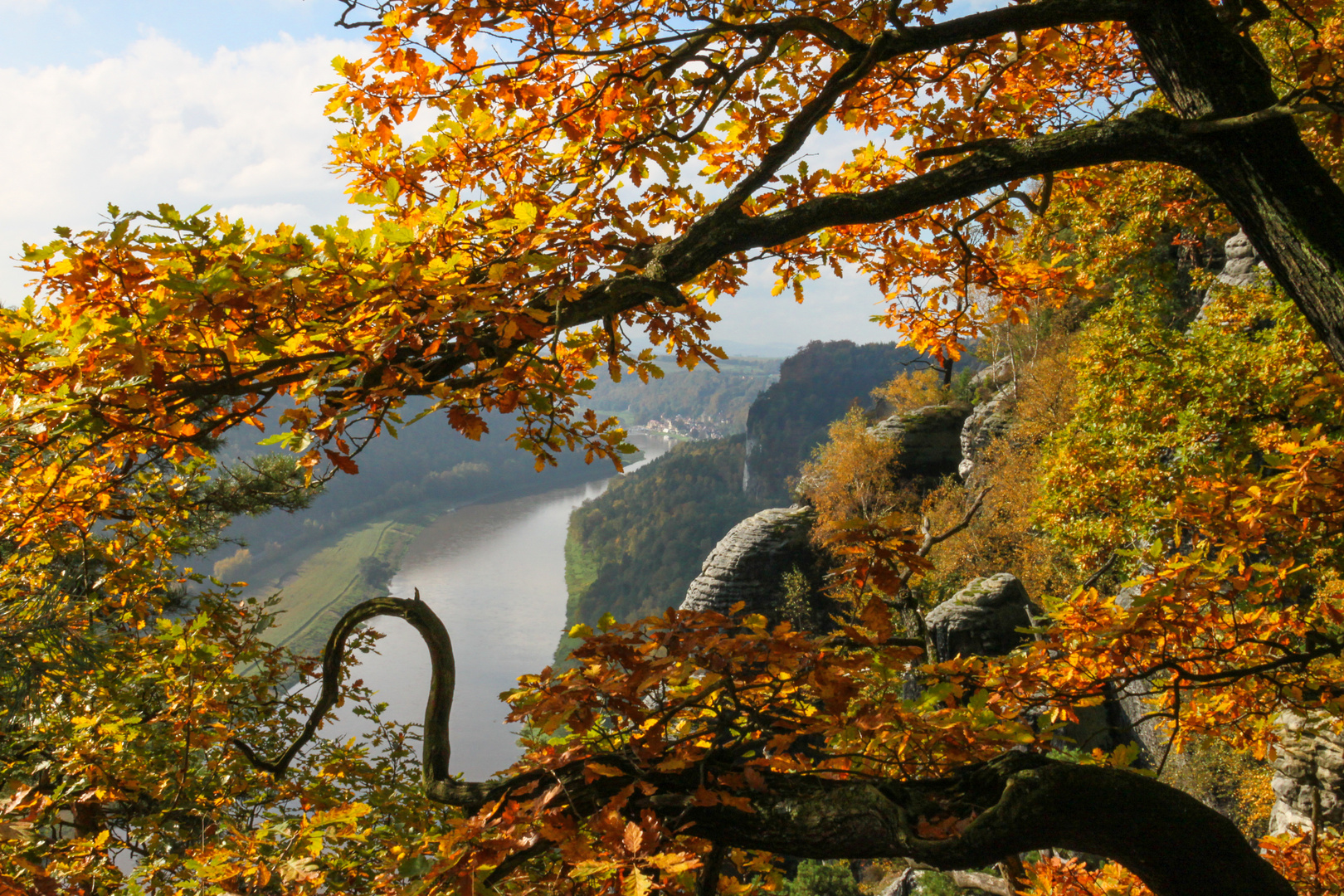 Herbstliche Farbenpracht oberhalb des Elbtals bei Rathen