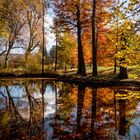 herbstliche Farbge"wald"