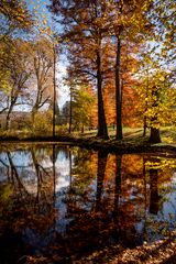 herbstliche Farbge"wald"