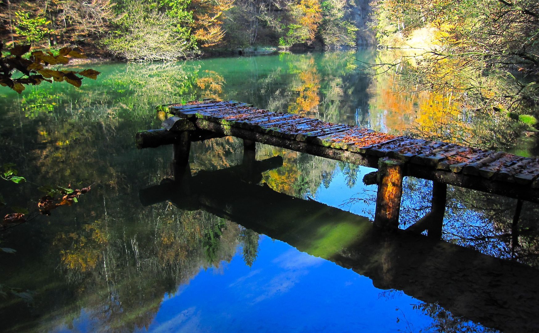 Herbstliche Farborgie