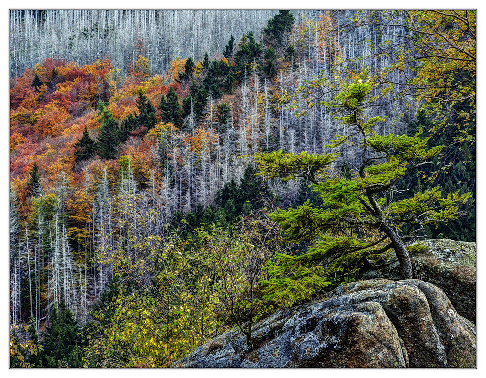 Herbstliche Farbpalette