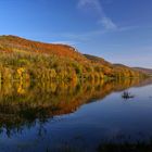 herbstliche Farbspiele