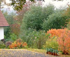 Herbstliche Farbstimmung ...