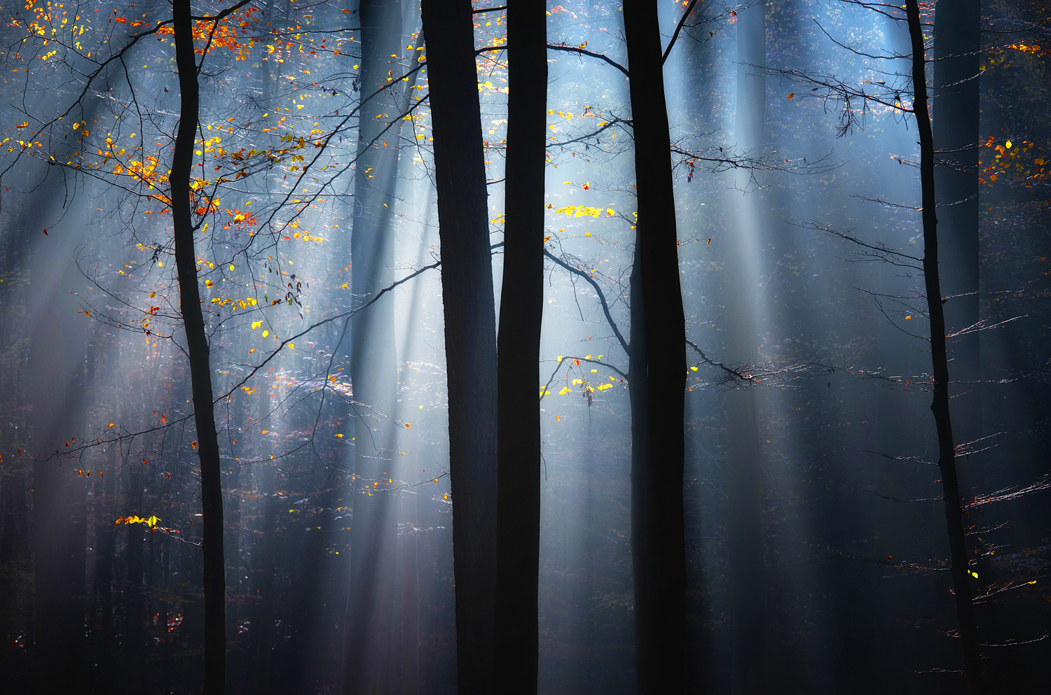 Herbstliche Farbtupfer