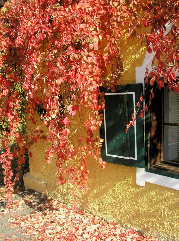 Herbstliche Fassade