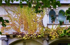 Herbstliche Fassade