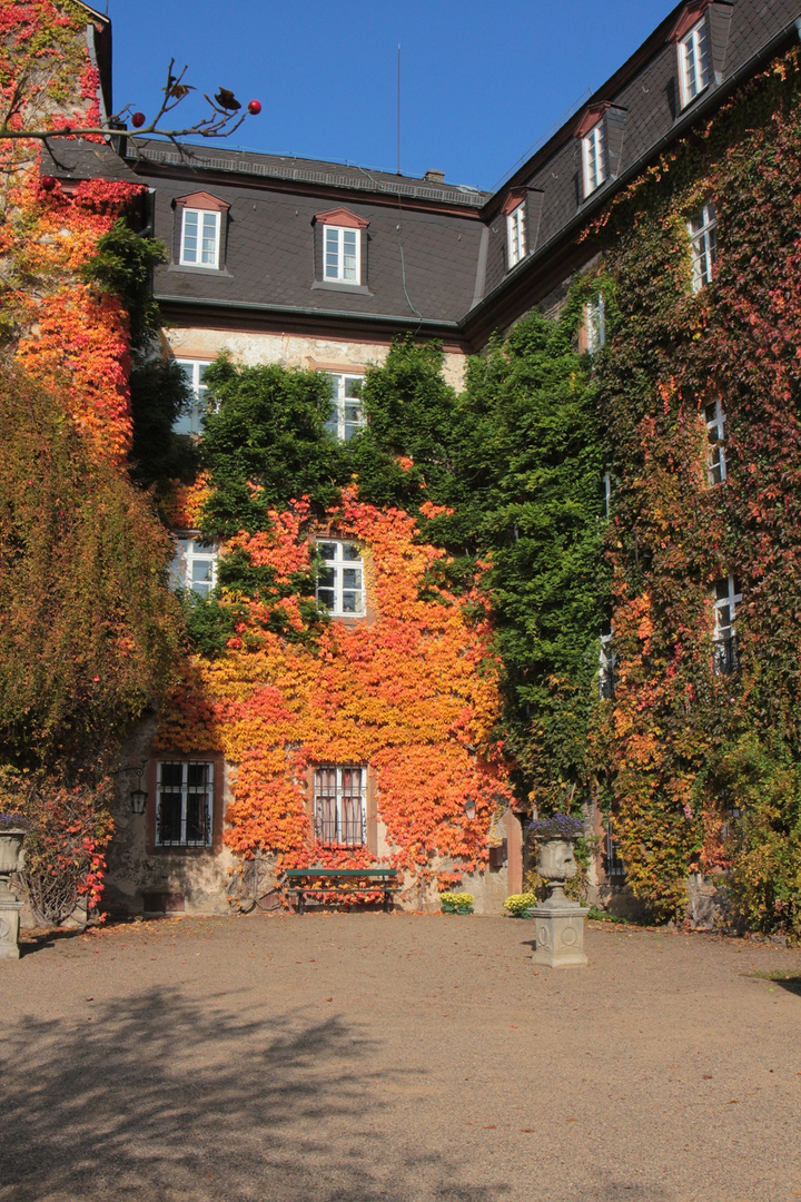 Herbstliche Fassadenfarben