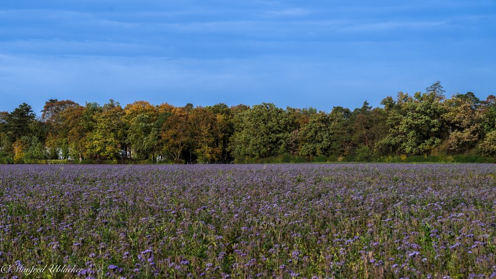 herbstliche Felder ...