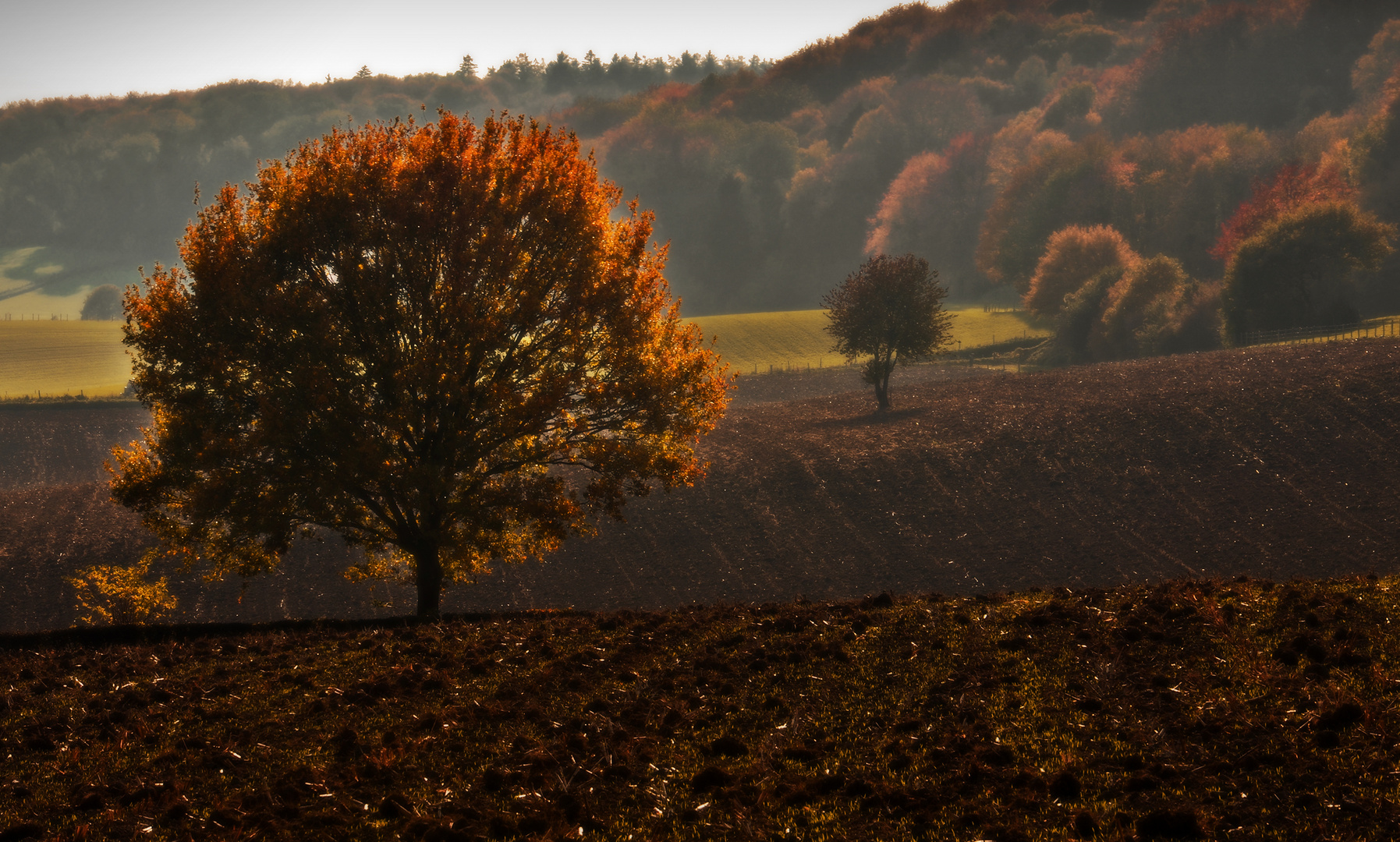 Herbstliche Felder